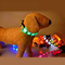 LED USB Rechargeable Dog Collar Flashing Pet Supply for promotion