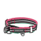 3M Reflective Multi-colored Stripe Dog Collar