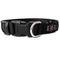 USB Rechargeable Waterproof LED Dog Collar