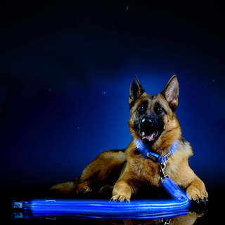 USB Rechargeable LED Reflective Dog Leash