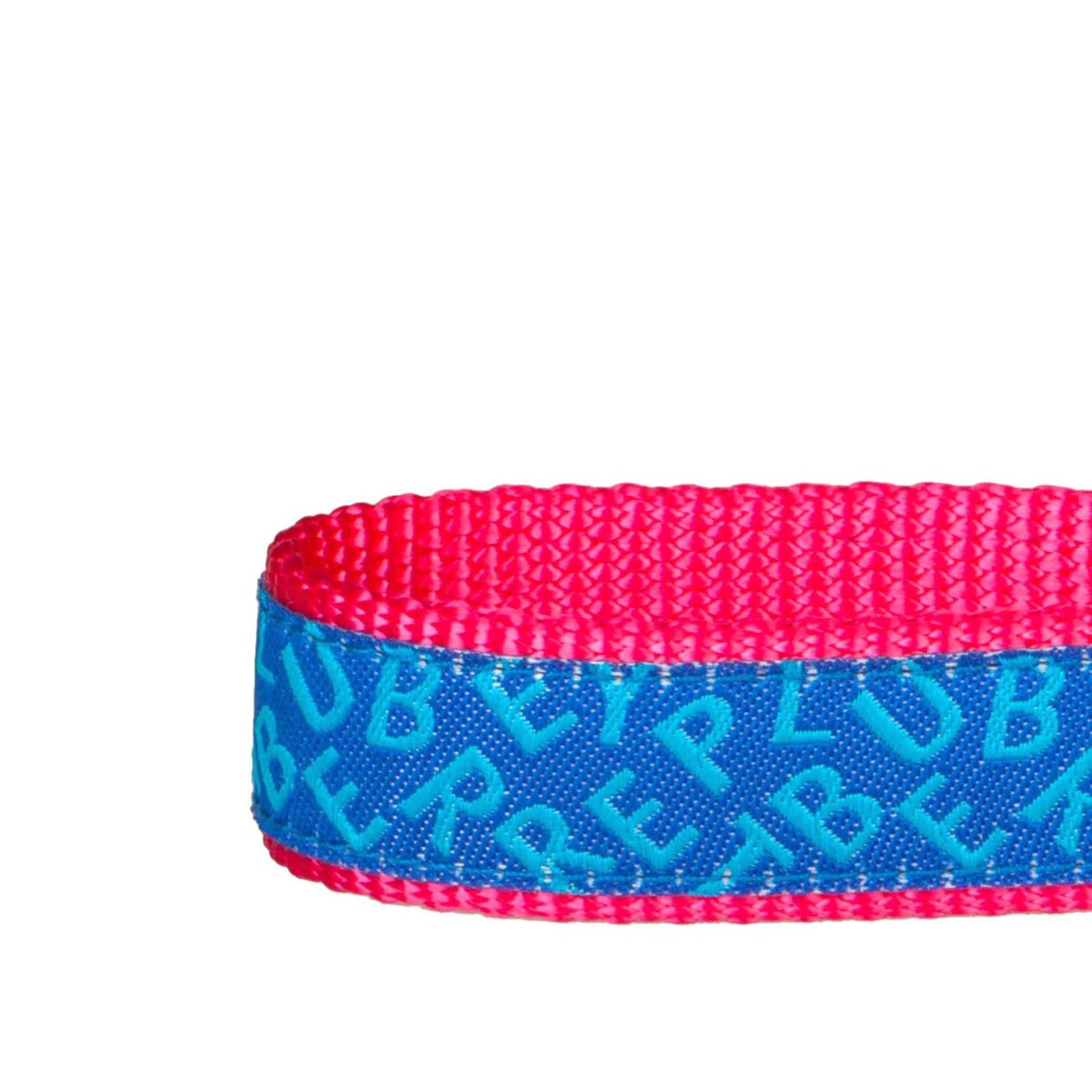 Chic & Fashionable Dog Leash