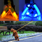 Rechargeable Glowing LED Pet Dog Cat Harness Safety Leash